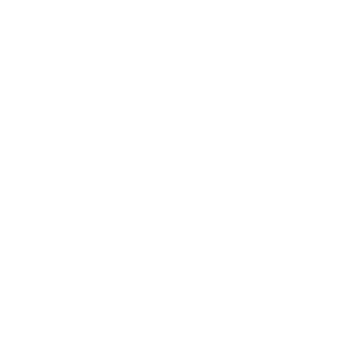 Choche's Bar and Grill