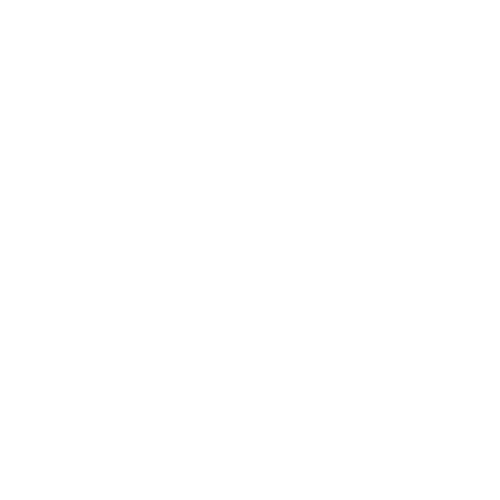 Megavision LLC.